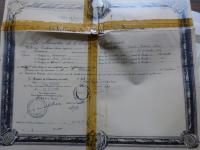 Diplôme de licence ès sciences d'Odette Clara, épouse Mansour - Archives de l'Institut national polytechnique de Toulouse
